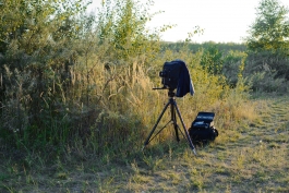 8x10 Peter Eichler Fotografie