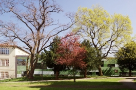 campus merseburg Peter Eichler Fotografie