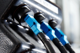 rosenberger Peter Eichler Fotografie