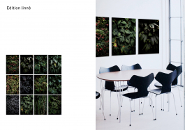 Peter Eichler Fotografie