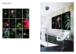 Peter Eichler Fotografie