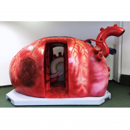 herzzentrum Peter Eichler Fotografie