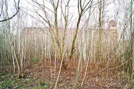 stadtwald Peter Eichler Fotografie