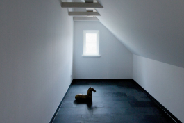 Haus L Peter Eichler Fotografie