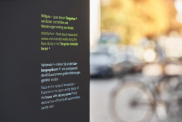 Dessau Rosslau Stele Am Rathaus Tipps 1645x1096 Peter Eichler Fotografie