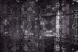Interstellar grassi ausstellung Peter Eichler Fotografie