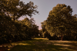 Dsc04874 park grosskeuhnau comp Peter Eichler Fotografie