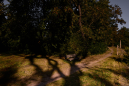 Dsc04893 park grosskuehnau comp Peter Eichler Fotografie