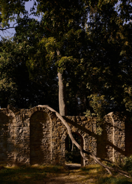 Dsc04933 park grosskuehnau comp Peter Eichler Fotografie