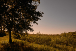 Dsc04955 park grosskuehnau comp Peter Eichler Fotografie