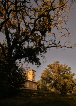 Dsc05000 park grosskuehnau comp Peter Eichler Fotografie