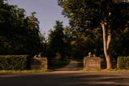 Dsc05018 park grosskuehnau comp Peter Eichler Fotografie