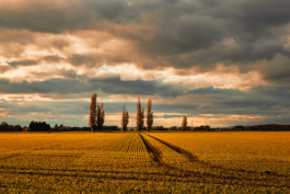 IMG 2510 luetzen1632 landschaft comp Peter Eichler Fotografie
