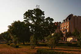 Amano doppel Peter Eichler Fotografie