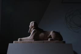 Sphinx Peter Eichler Fotografie