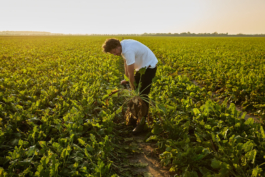 IMG Peter Eichler Fotografie