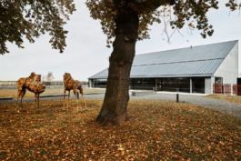 IMG Peter Eichler Fotografie