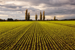 Museum Lützen 1632 Peter Eichler Fotografie