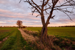 IMG Peter Eichler Fotografie